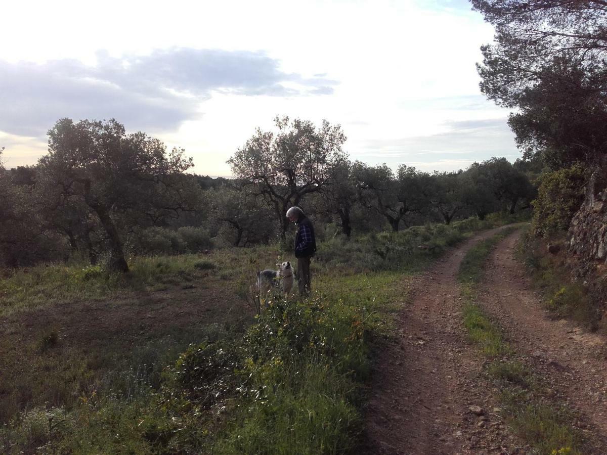 Ca L'Eli Different Experience Hutt 12157 Konuk evi Mont-roig del Camp Dış mekan fotoğraf