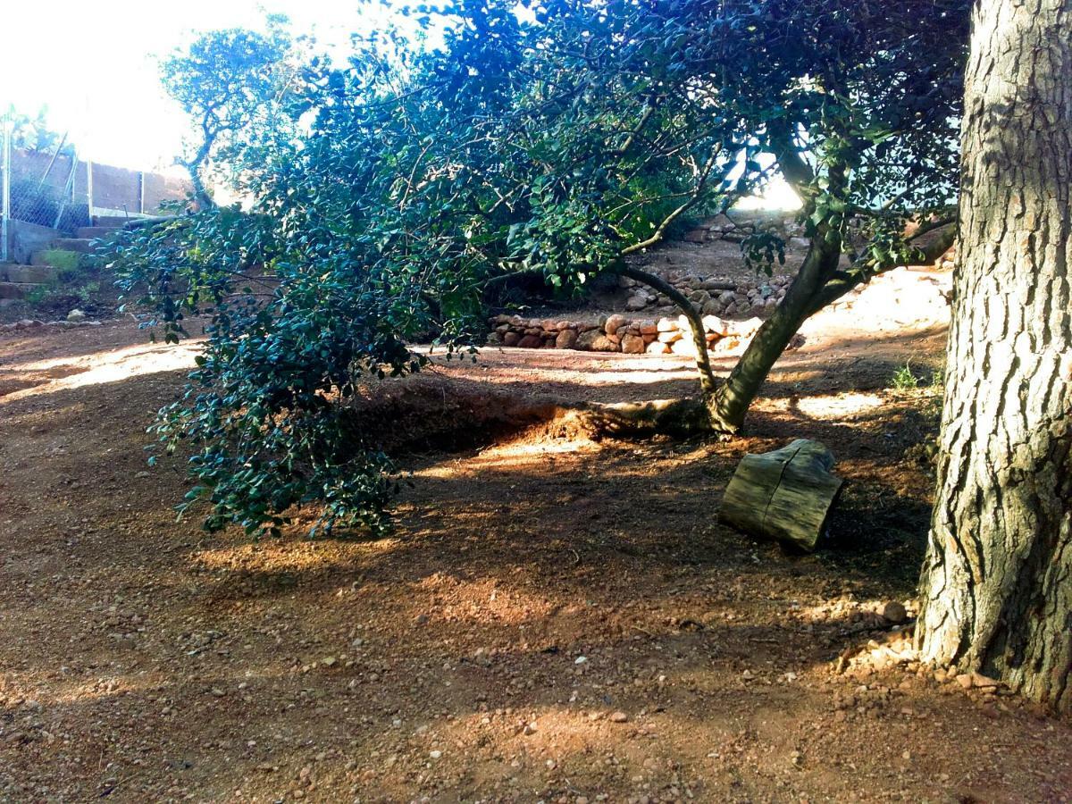 Ca L'Eli Different Experience Hutt 12157 Konuk evi Mont-roig del Camp Dış mekan fotoğraf